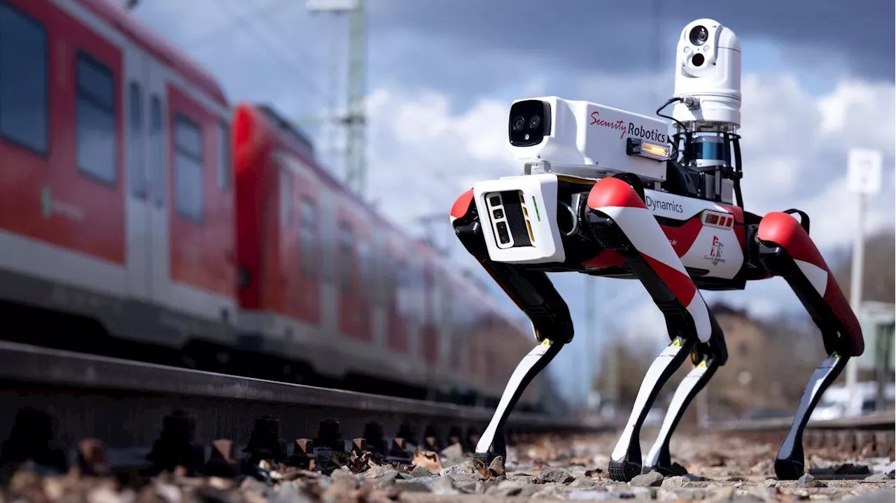 Hunde, die filmen, beißen nicht: Roboter sollen Graffiti-Sprayer stoppen