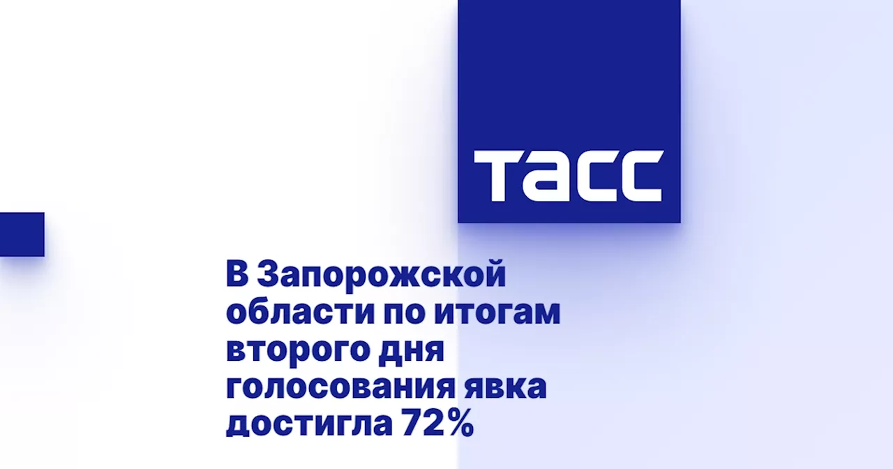 В Запорожской области по итогам второго дня голосования явка достигла 72%