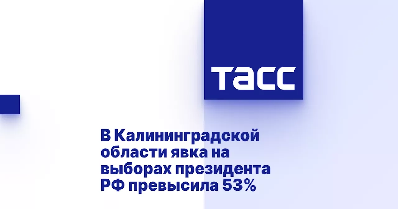 В Калининградской области явка на выборах президента РФ превысила 53%