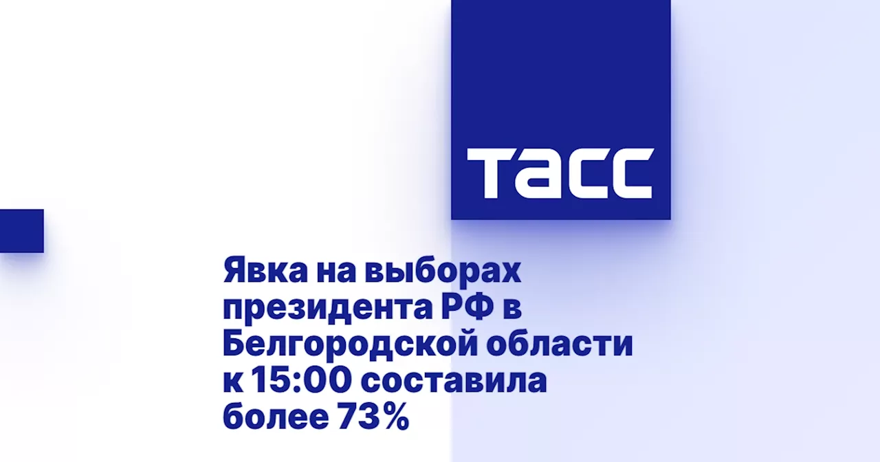 Явка на выборах президента РФ в Белгородской области к 15:00 составила более 73%