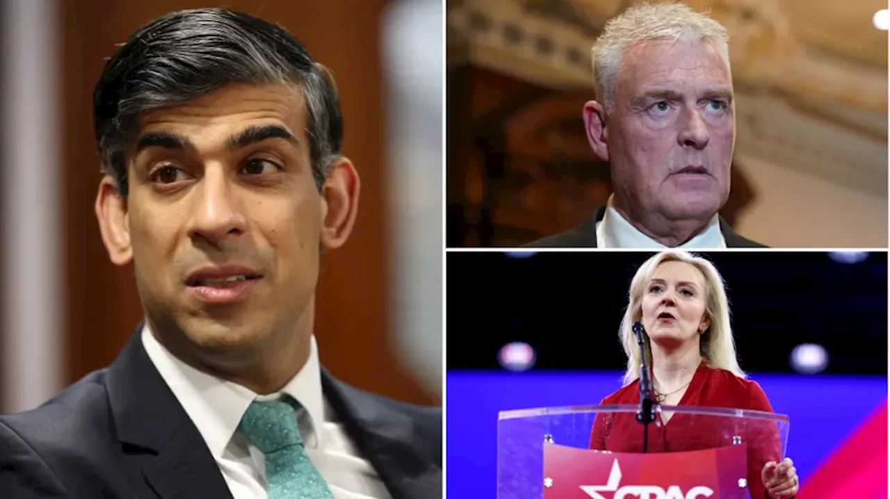 Rishi Sunak will be ‘paralysed’ by turmoil in ‘feral’ Tory Party, ex-No 10 aide says