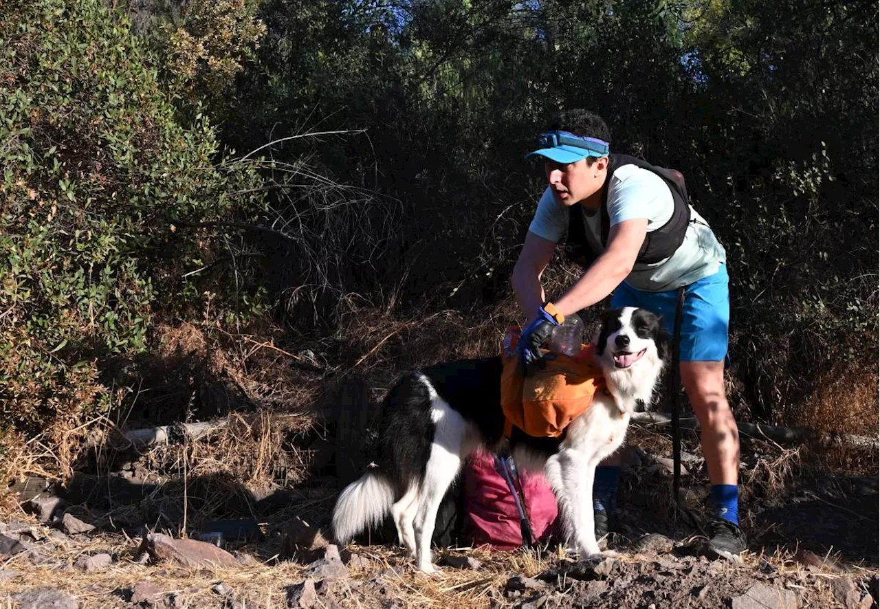 Chilean lawyer promotes 'plogging' to tackle recycling problem