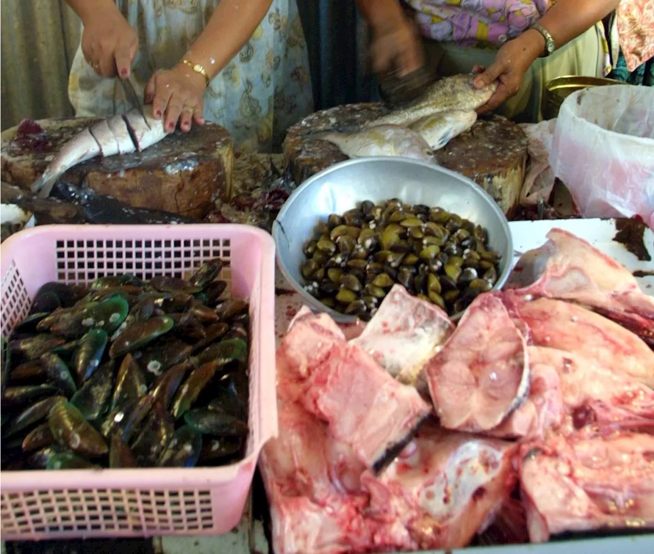 DoH, BFAR warns public against eating shellfish due to red tide