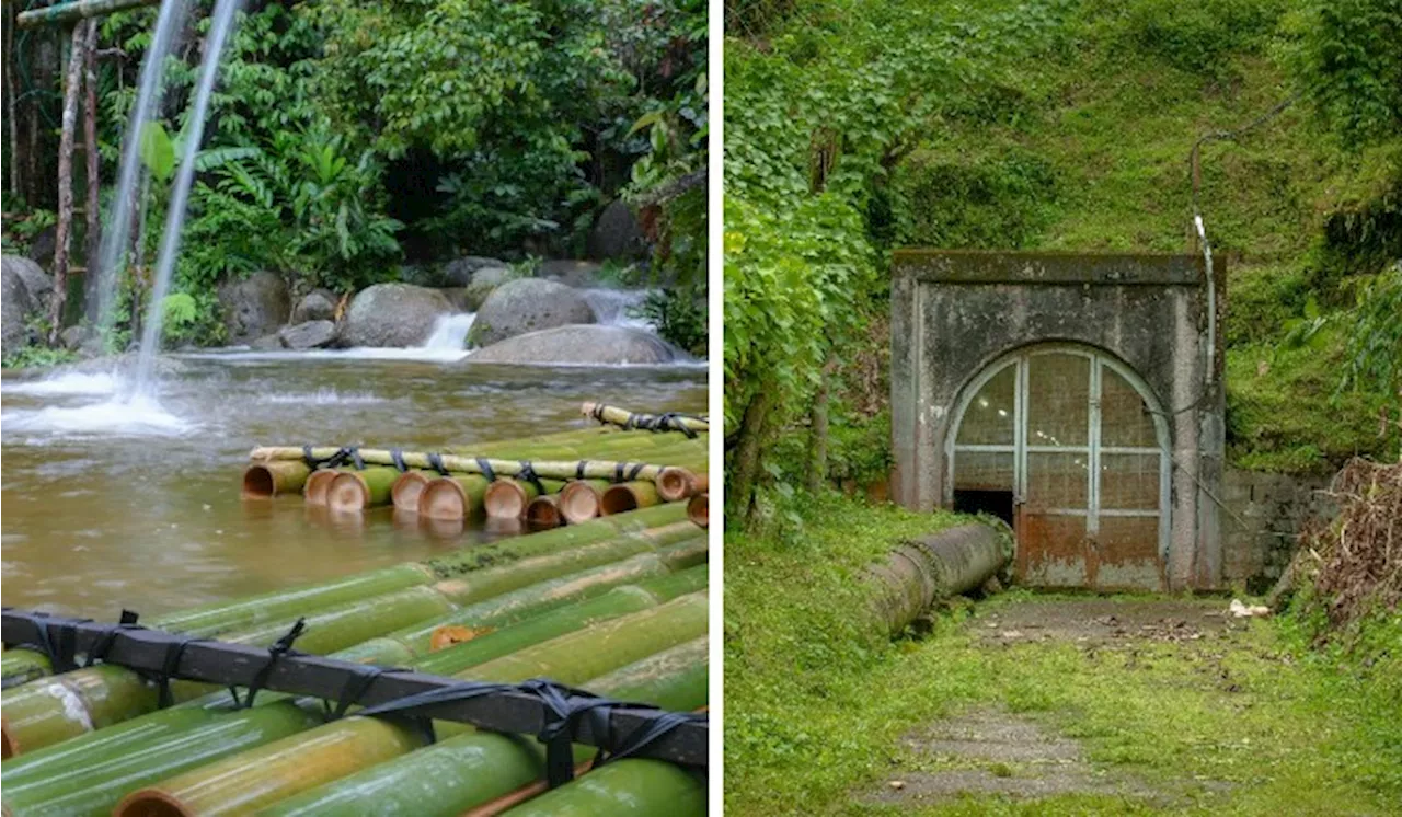 [Photos] Cameron Highlands: The Paradox Of Malaysia’s Happiest Place