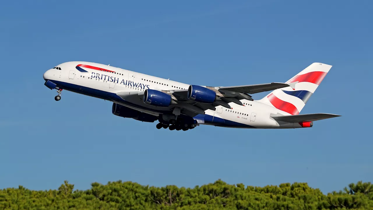 British Airways pilot ogles ‘soft-porn during cockpit break on long-haul flight’...