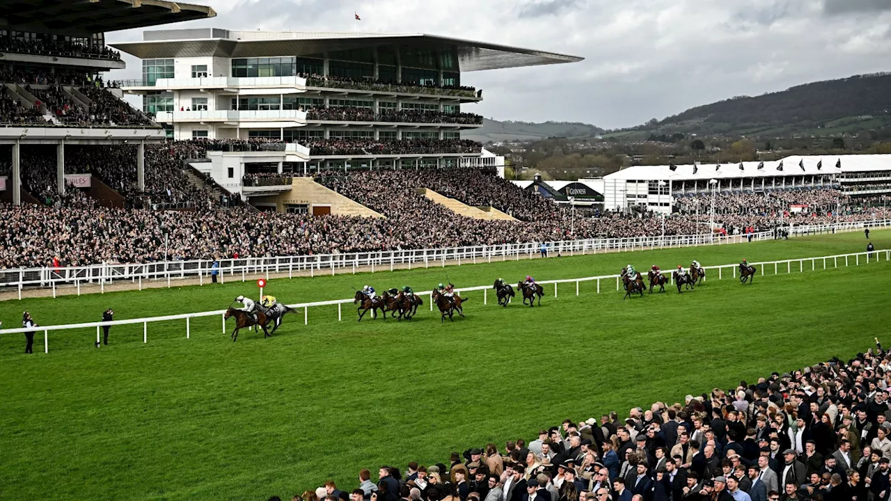 Cheltenham racegoer charged with assault after two staff members ‘are attacked and left with facial i...