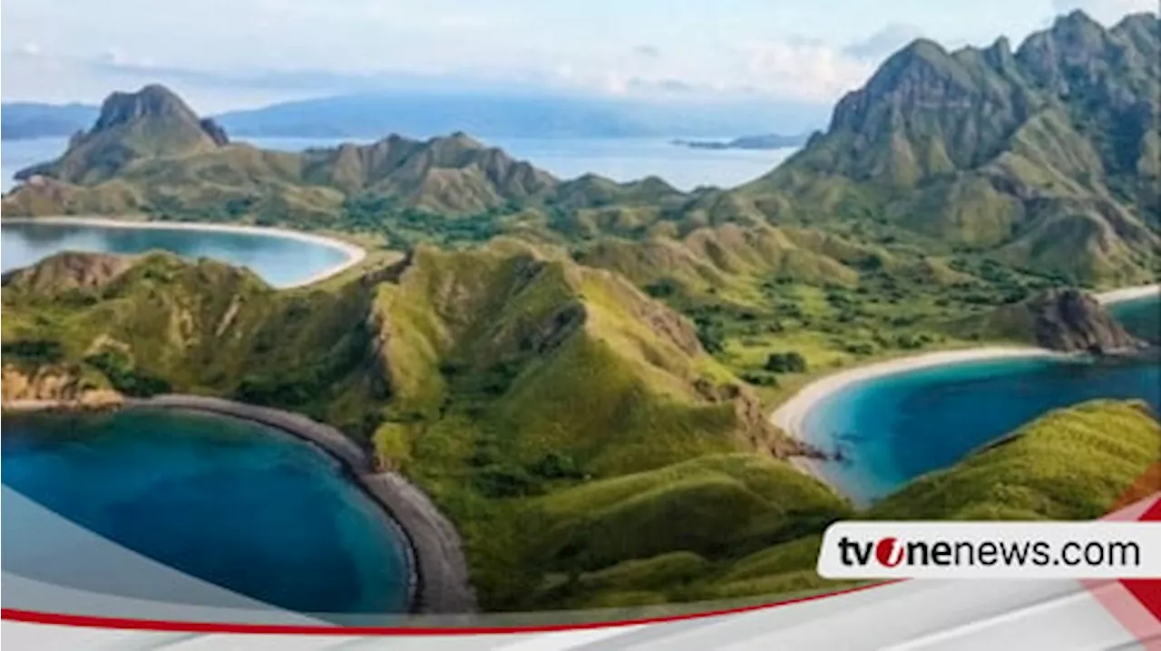 Kapal Wisata Dilarang Berlayar di Pulau Komodo, KSOP Bongkar Alasannya