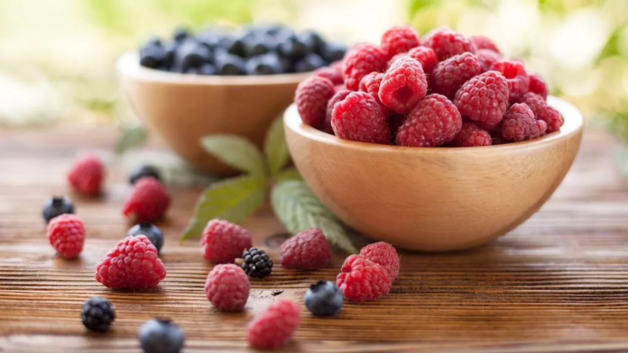 So pflanzen Sie Heidelbeeren im Garten oder auf Ihrem Balkon