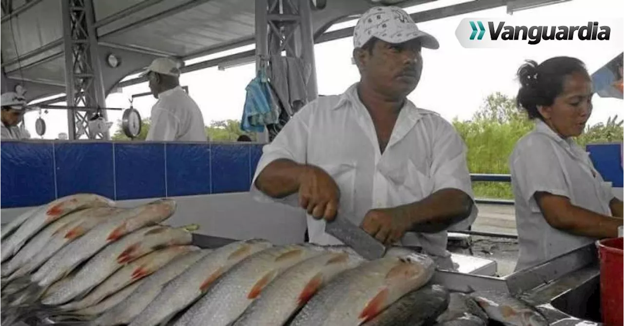 Consumo de pescado en Semana Santa podría ser del 6% más que en 2023