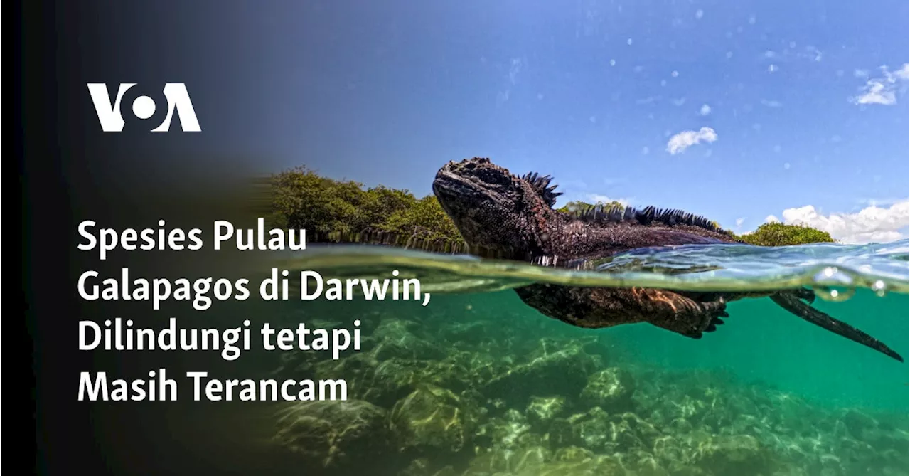 Ancaman Perahu Penangkapan Ikan Industri terhadap Taman Nasional Laut Galapagos