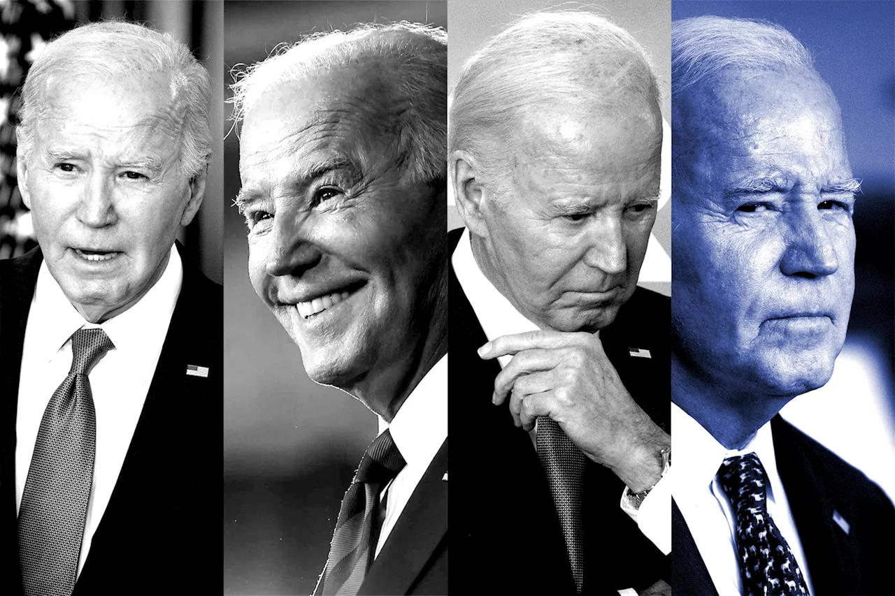 There are four Bidens. Let us introduce them.