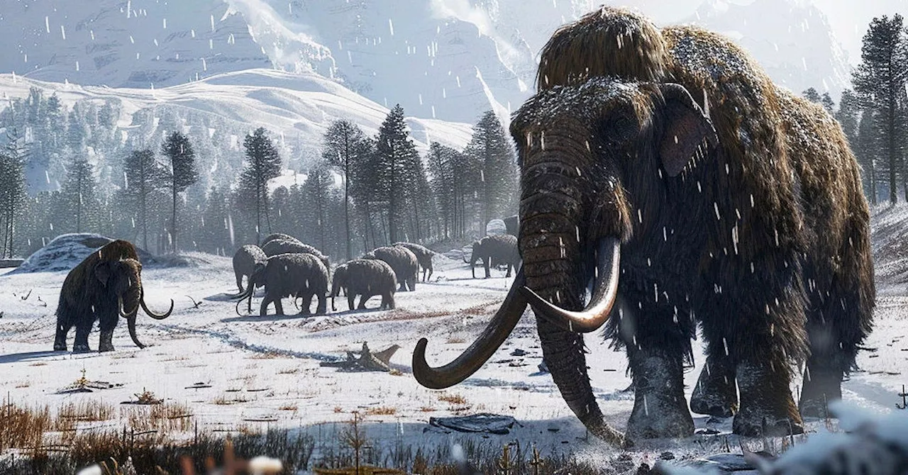 Scientists Are Inching Closer to Bringing Back the Woolly Mammoth