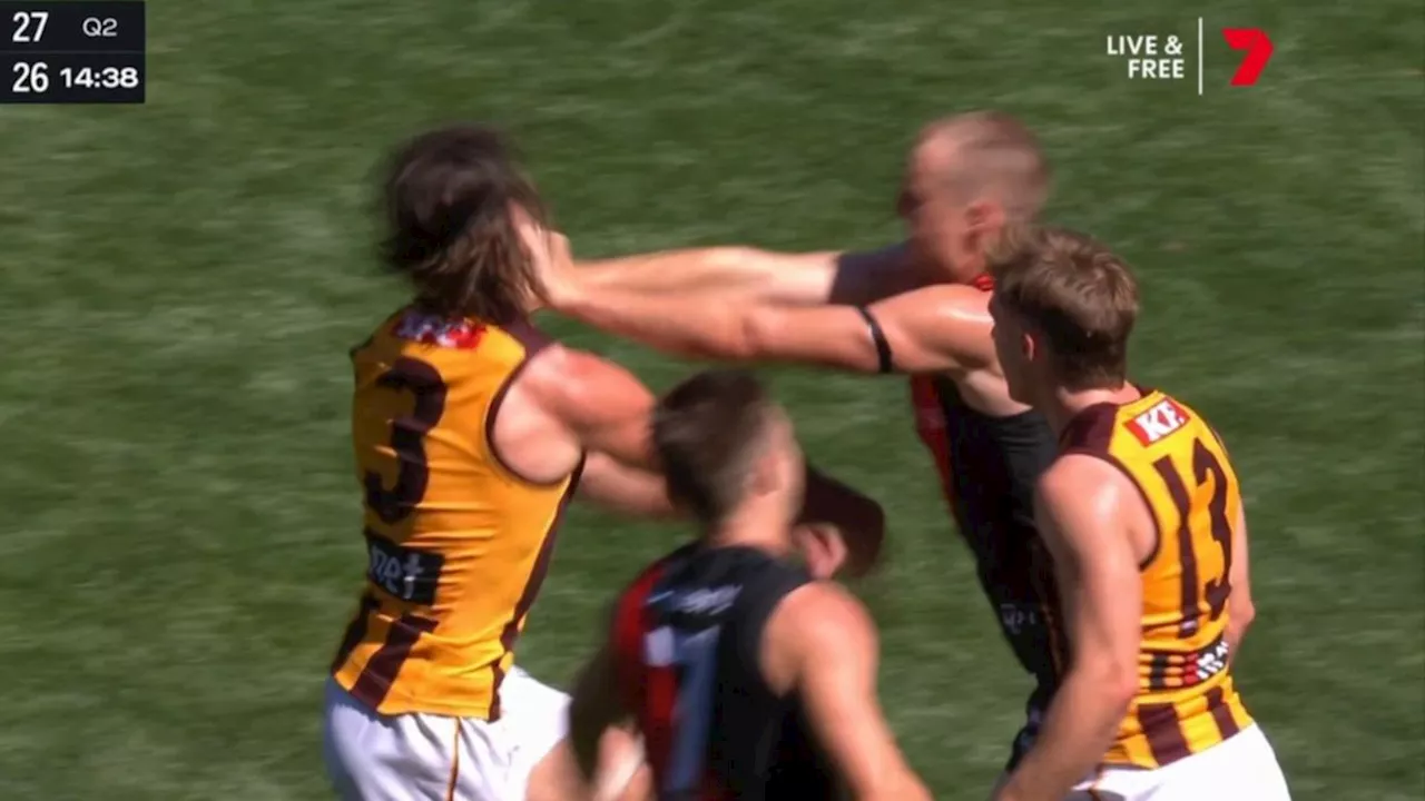 Hawthorn captain James Sicily and Essendon star Mason Redman cop one-match bans