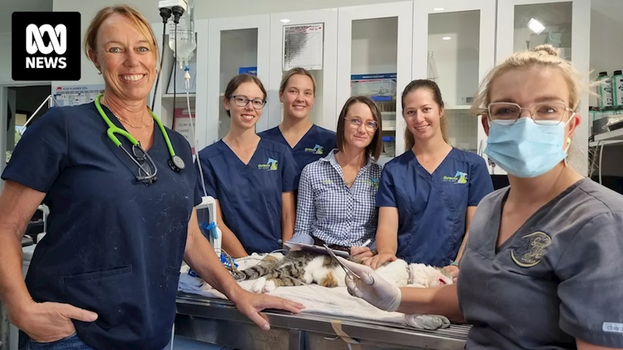 All-female veterinary clinic at Inverell in New South Wales helping mums stay in the workforce