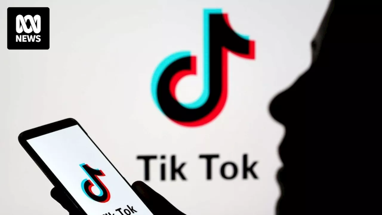 Coalition steps up calls to ban TikTok over links to China