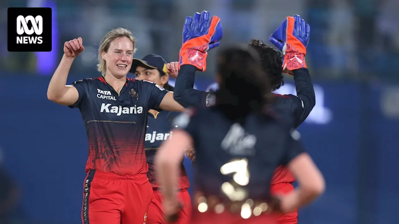 Ellyse Perry and Sophie Molineux star as Royal Challengers Bangalore claim Women's Premier League title