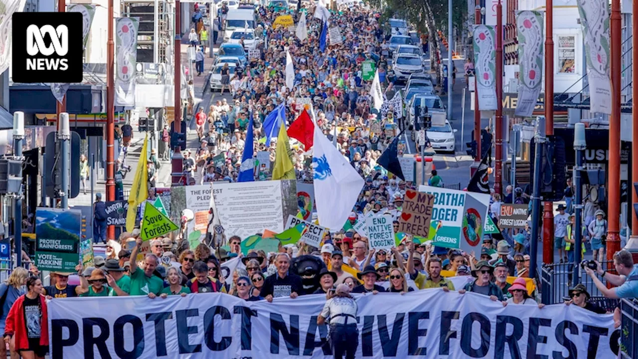 Hobart protest rally calls for end to native forest logging in Tasmania, as Liberals vow to increase timber harvest