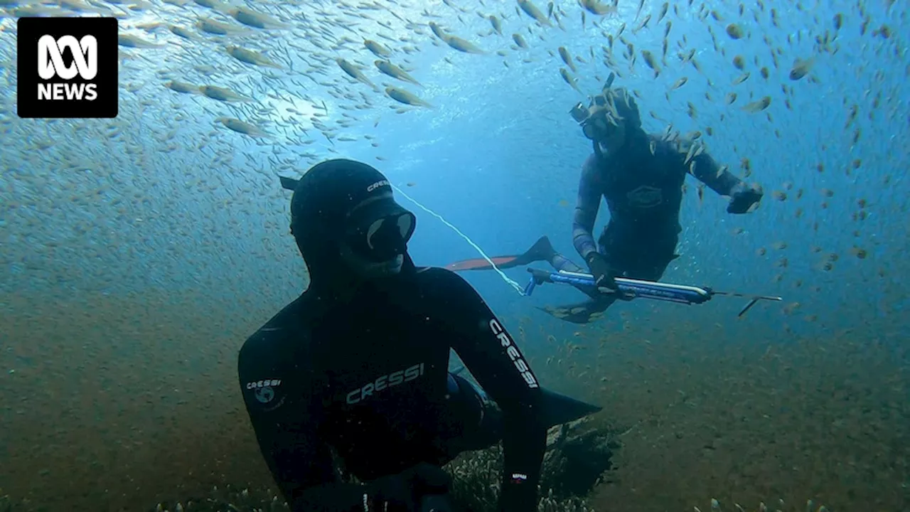 Spearfishing is booming in popularity despite the risks of sharks, crocodiles and blackouts