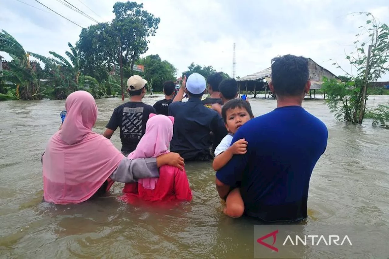 Warga Demak kembali mengungsi karena jebolnya tanggul Sungai Wulan