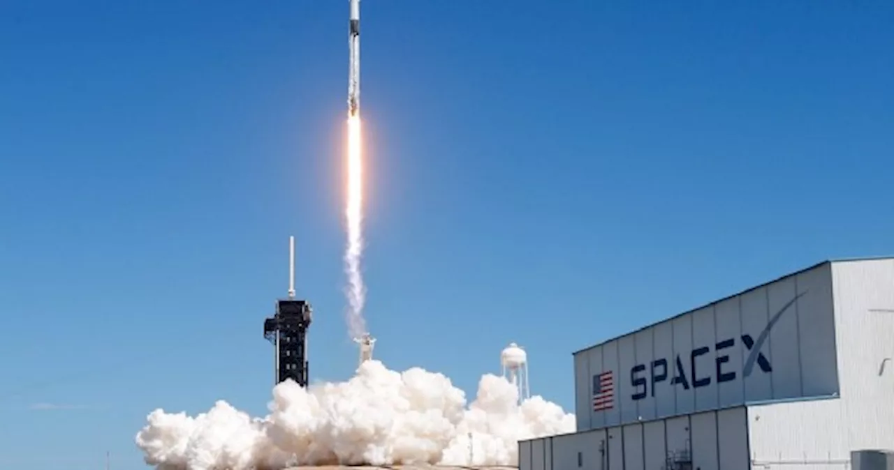 Elon Musk's SpaceX is building spy satellite network for US intel agency, sources say