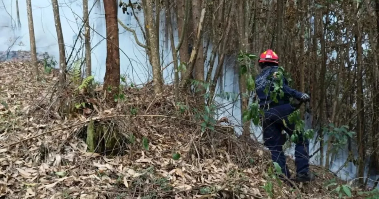 Bomberos de Envigado cumplen más de 15 horas batallando contra un incendio forestal