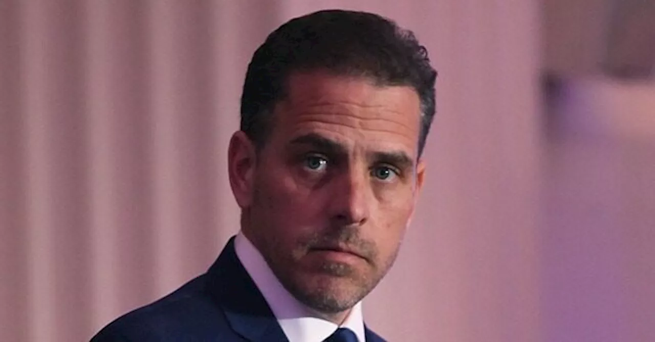 Hunter Biden's involvement in Chinese company's attempt to purchase US nuclear reactors revealed