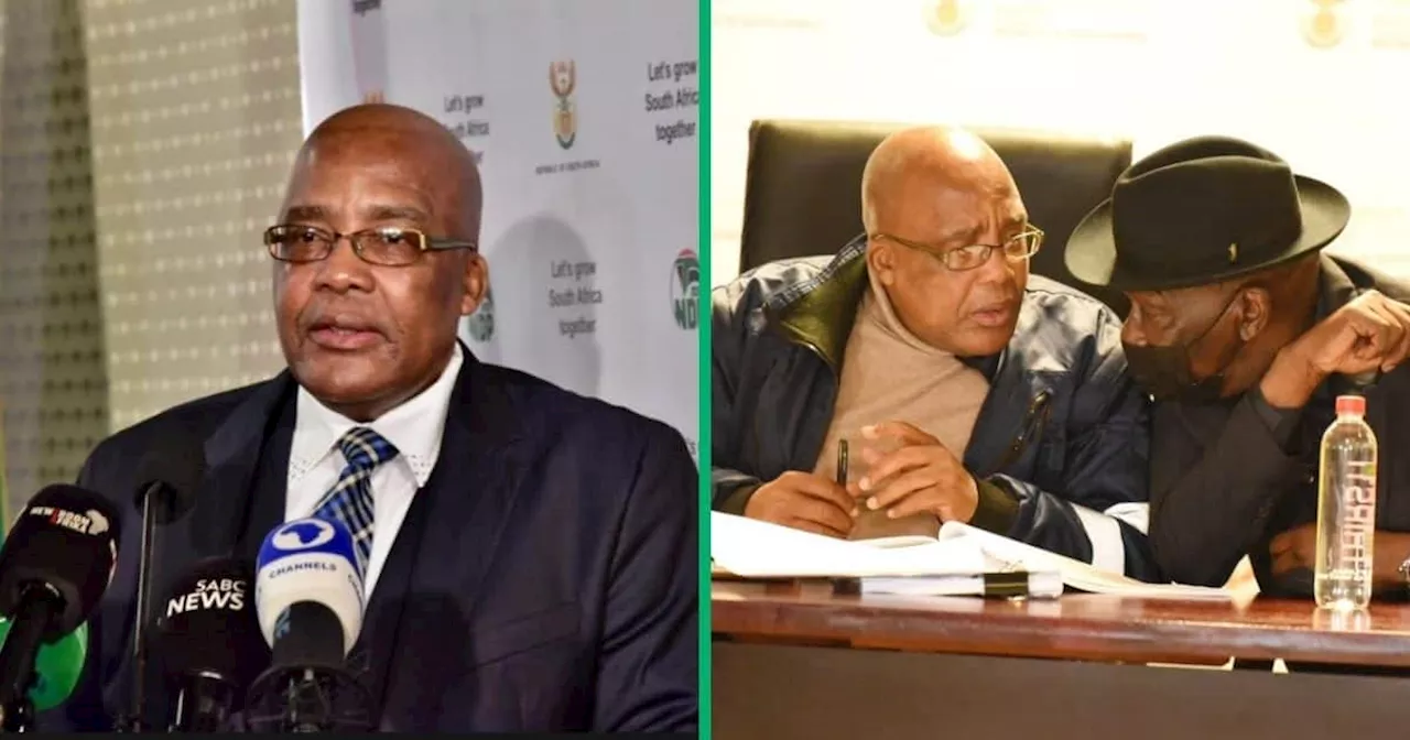 Motsoaledi Urges SIU Probe After North West Government CFO Hired With Fake Residence Permit