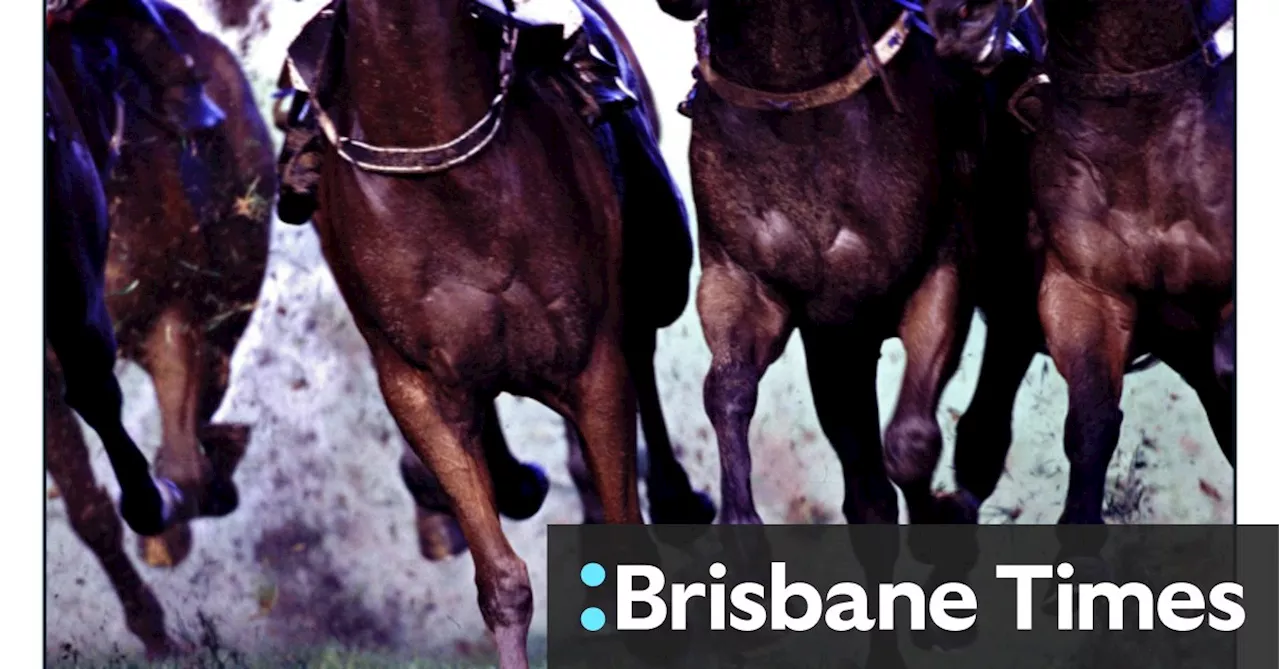 Race-by-race preview and tips for Monday meeting at Armidale