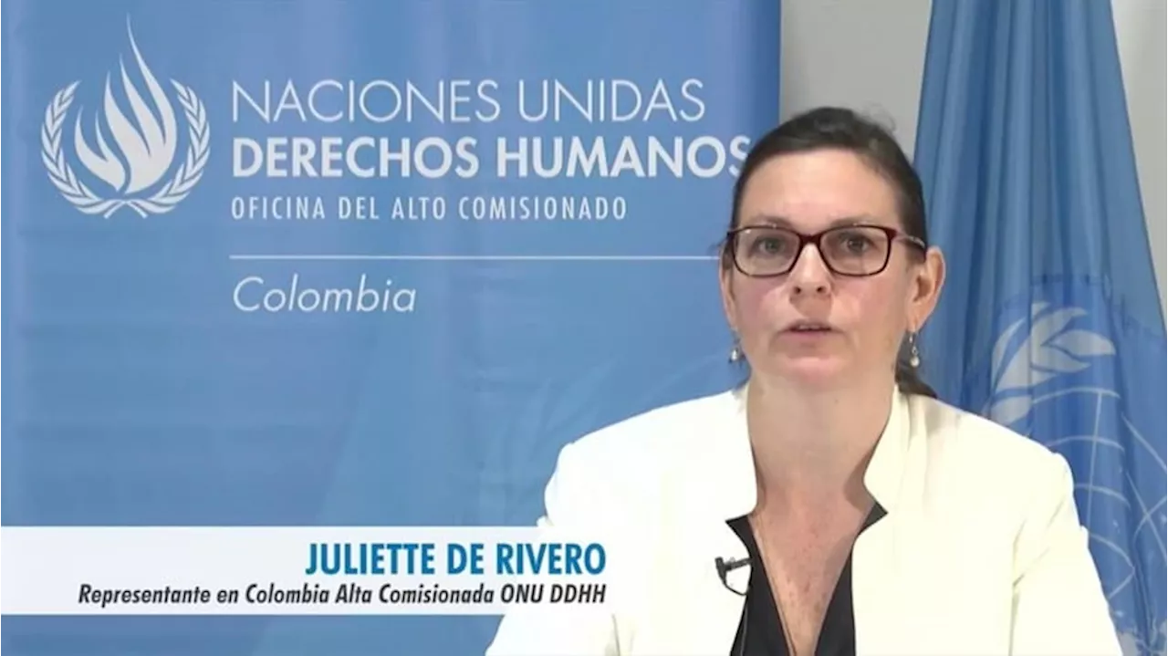 La ONU Derechos Humanos condenó ataque armado contra el Pueblo Indígena Nasa en Cauca