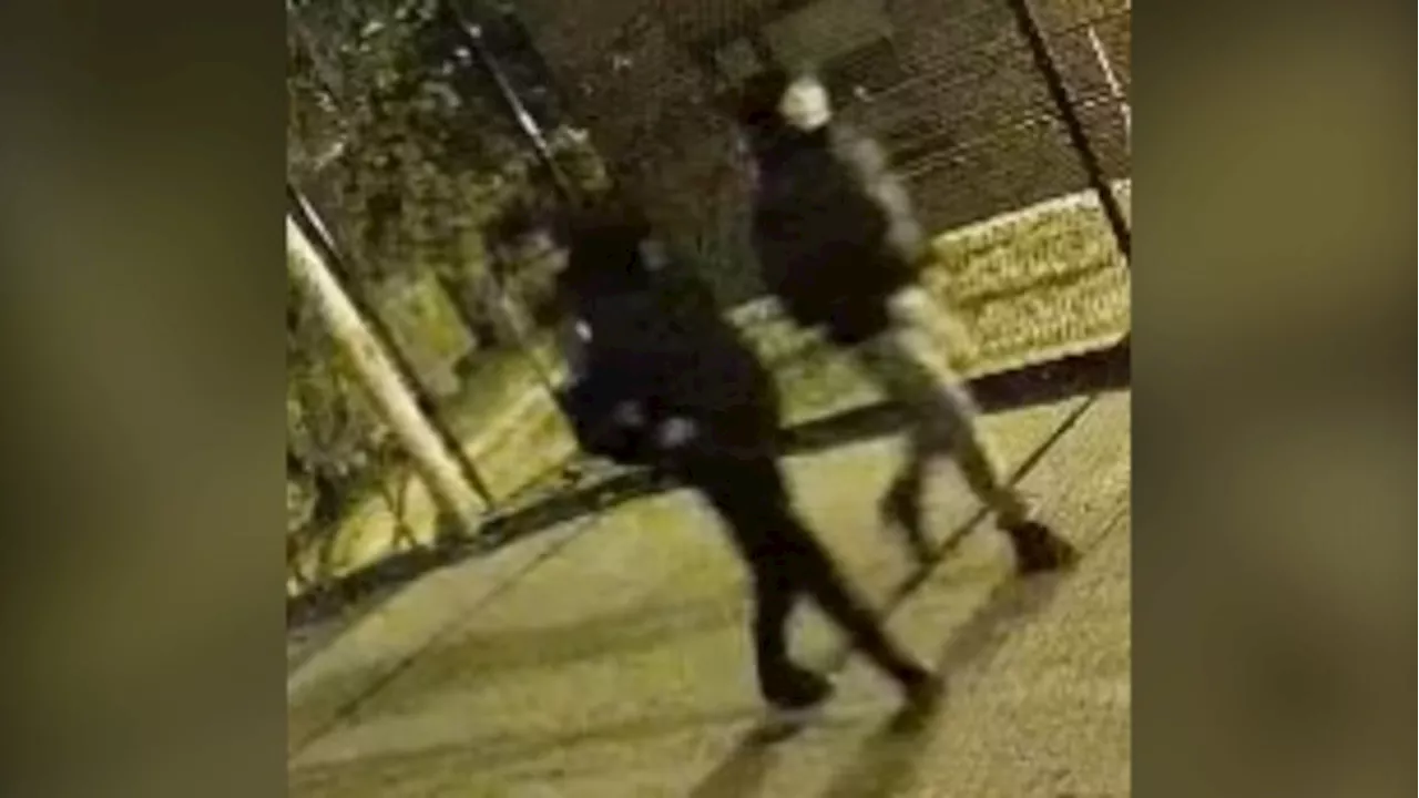 2 suspects sought after allegedly slashing tires, spray painting vehicles in Toronto neighbourhood