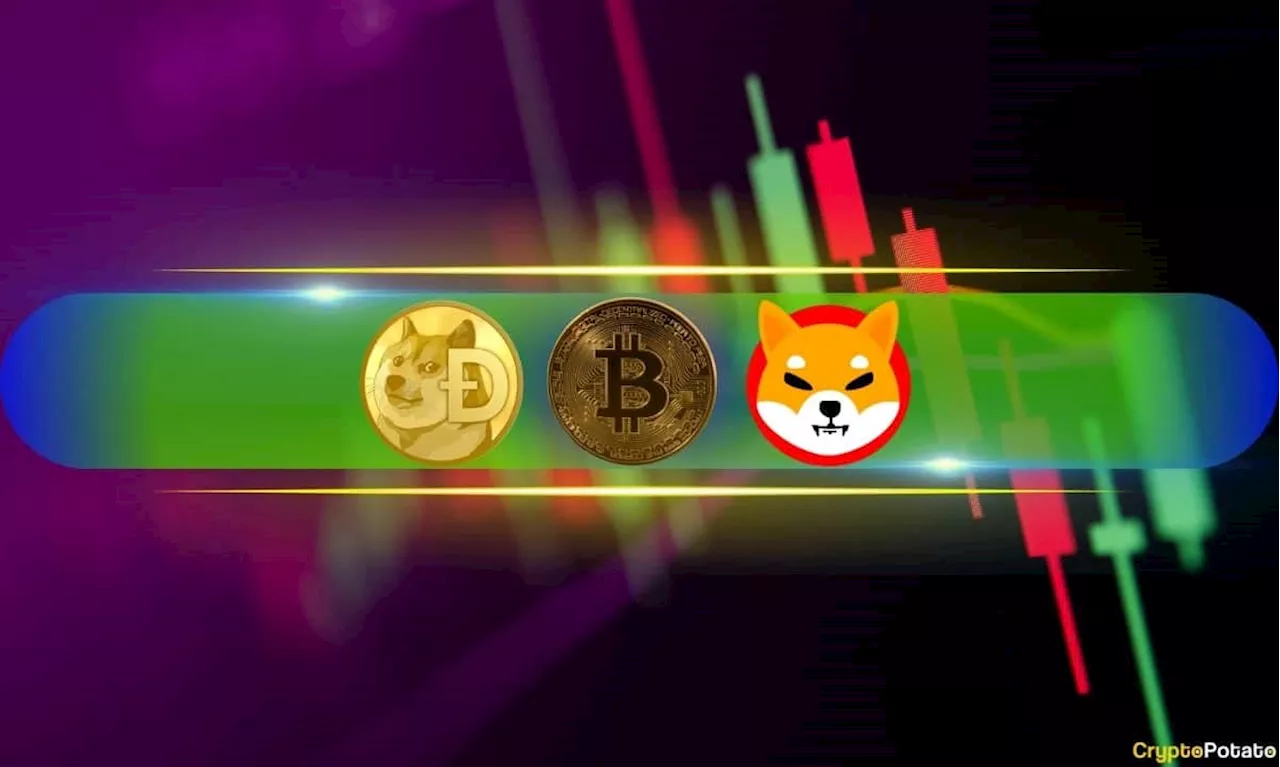 Bitcoin Slumps to 10-Day Lows, DOGE and SHIB Among the Double-Digit Losers (Weekend Watch)