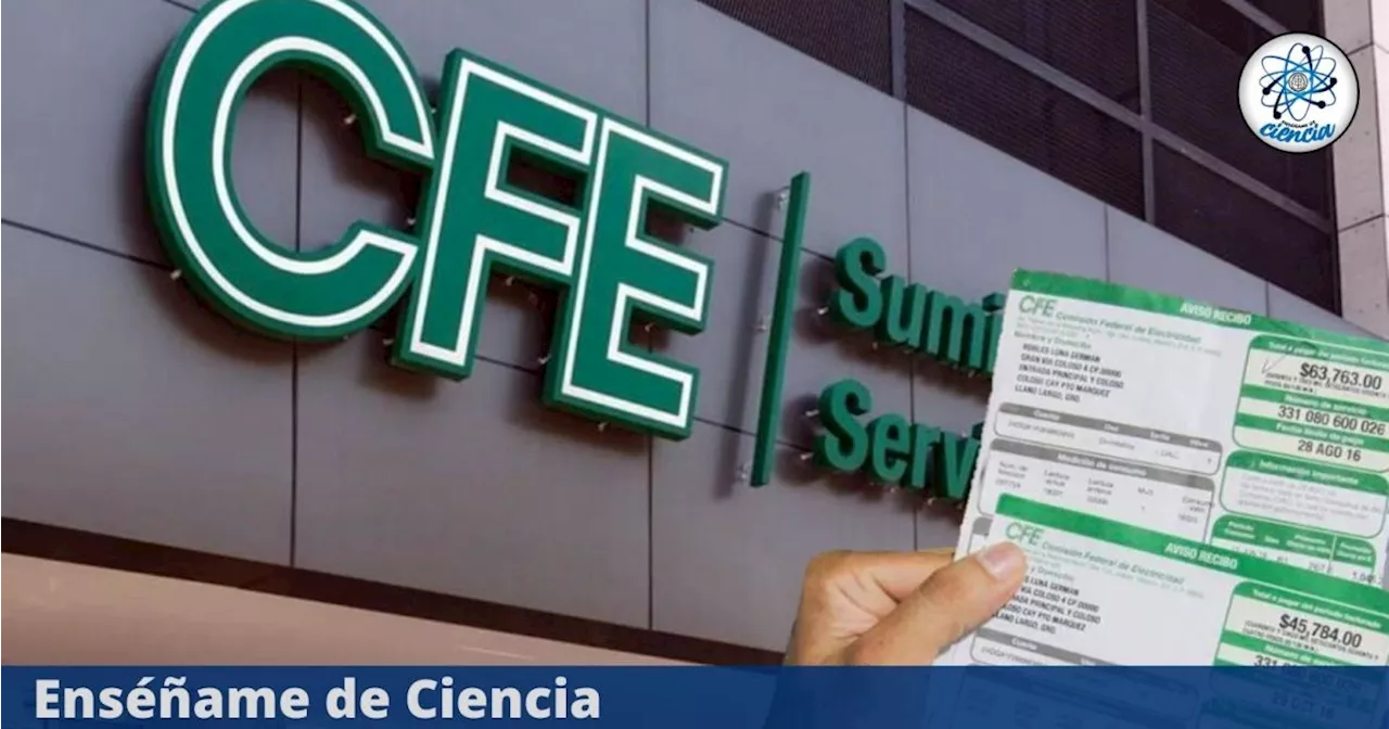 La CFE podría suspender hasta por dos años el pago de luz a estas personas