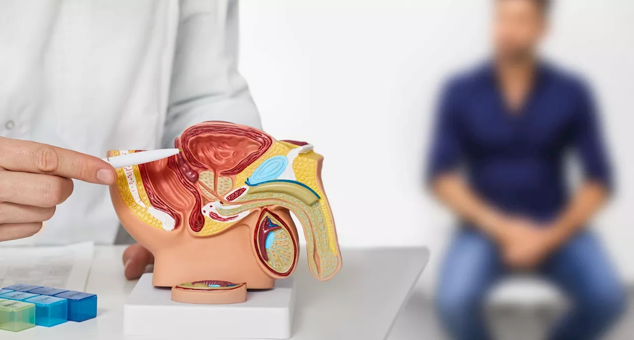 Nearly 20,000 Missed Prostate Cancer Diagnoses Due To Covid-19 Pandemic