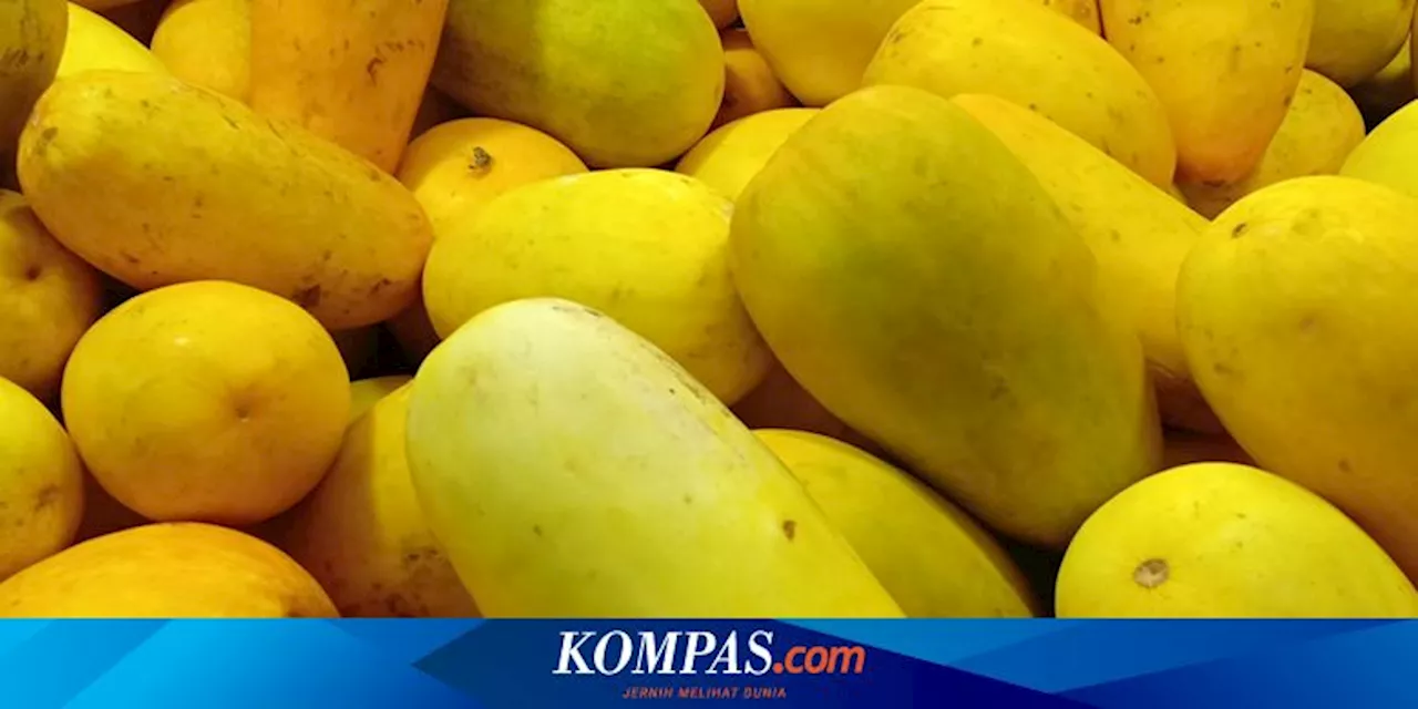 Kenali 12 Manfaat Timun Suri, Buah yang Cocok untuk Takjil saat Ramadhan