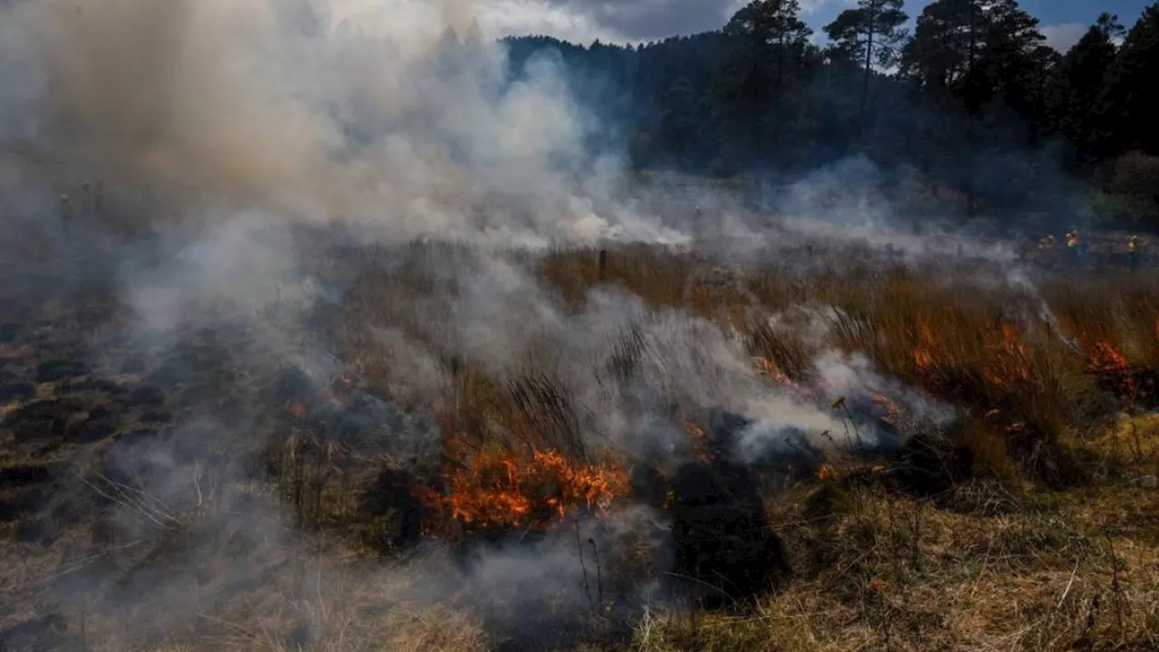 Permanecen activos 32 incendios forestales; 15 ya fueron extinguidos