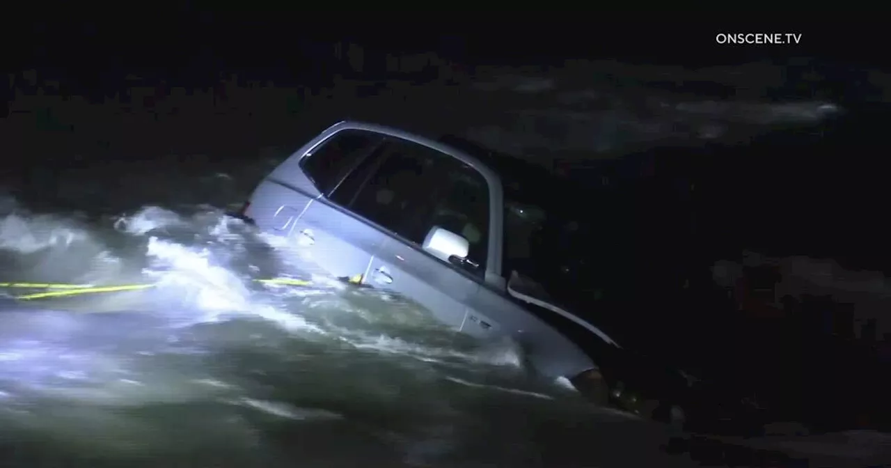 Woman flees police chase in Venice Beach, drives into ocean with two dogs