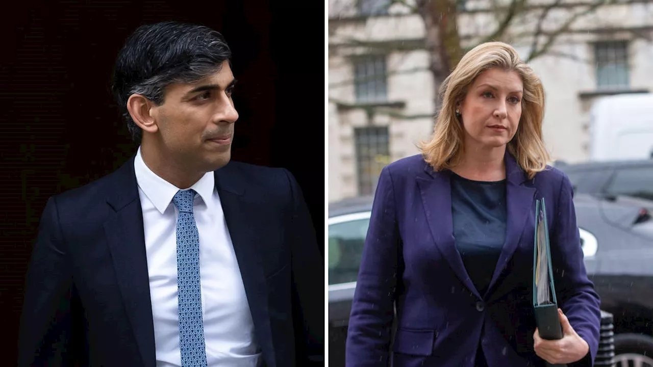 Transport Secretary Denies Claims of Tory Plot to Replace Rishi Sunak