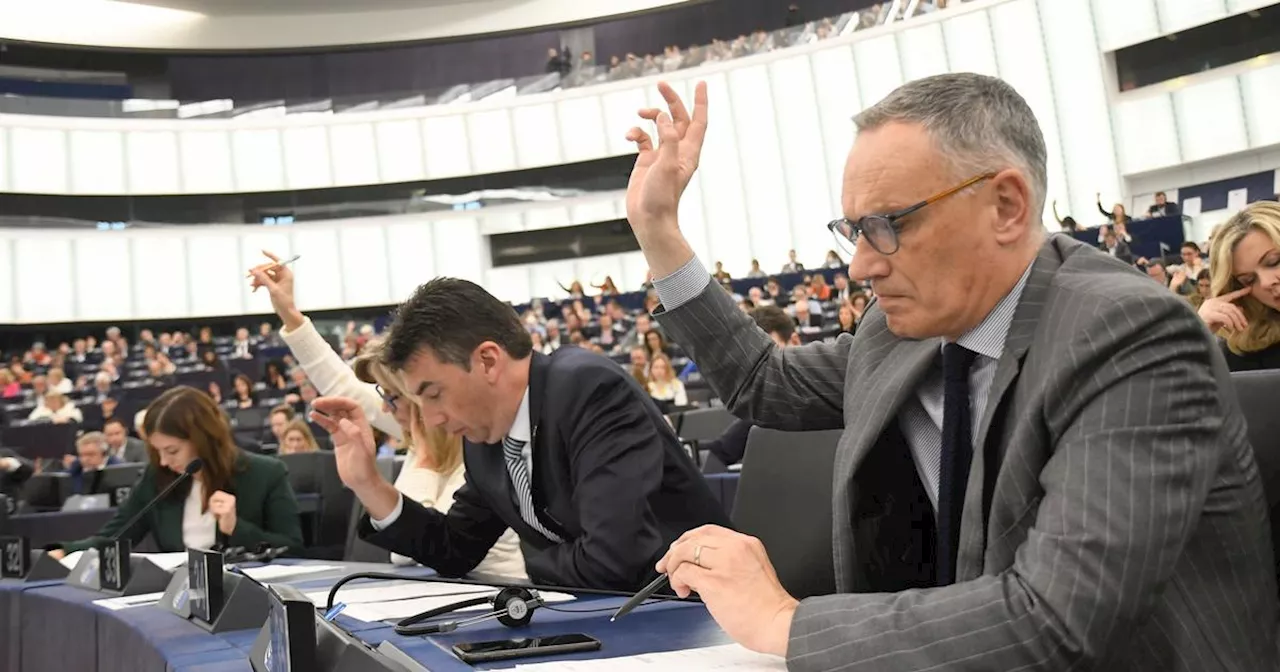 «À Strasbourg, c'est la course» : une journée dans la peau d’un eurodéputé