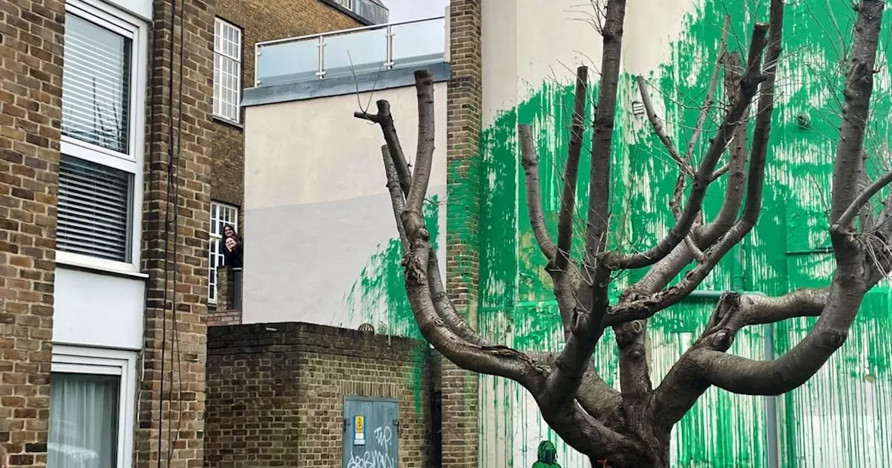 Suspected Banksy appears on side of building in London