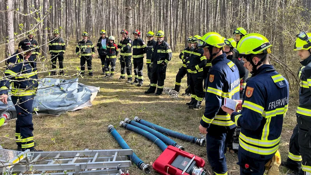 Freiwillige Feuerwehr simulierte Brand im Föhrenwald