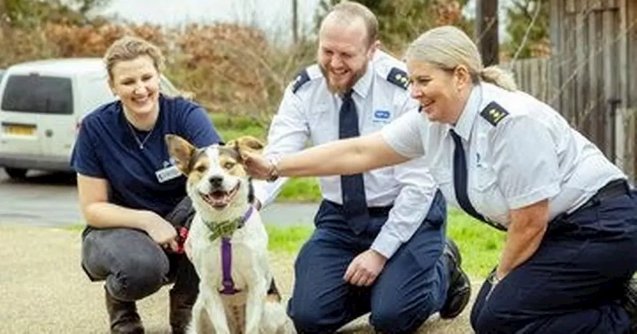 Unsung heroes put their life on the line each day for our animals