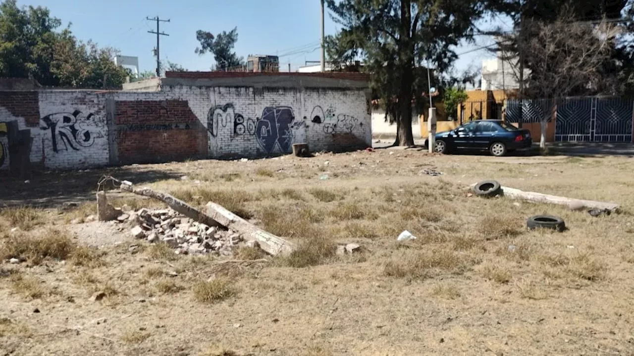 Entre baches y basura viven vecinos del Fraccionamiento Valle de las Flores en Irapuato