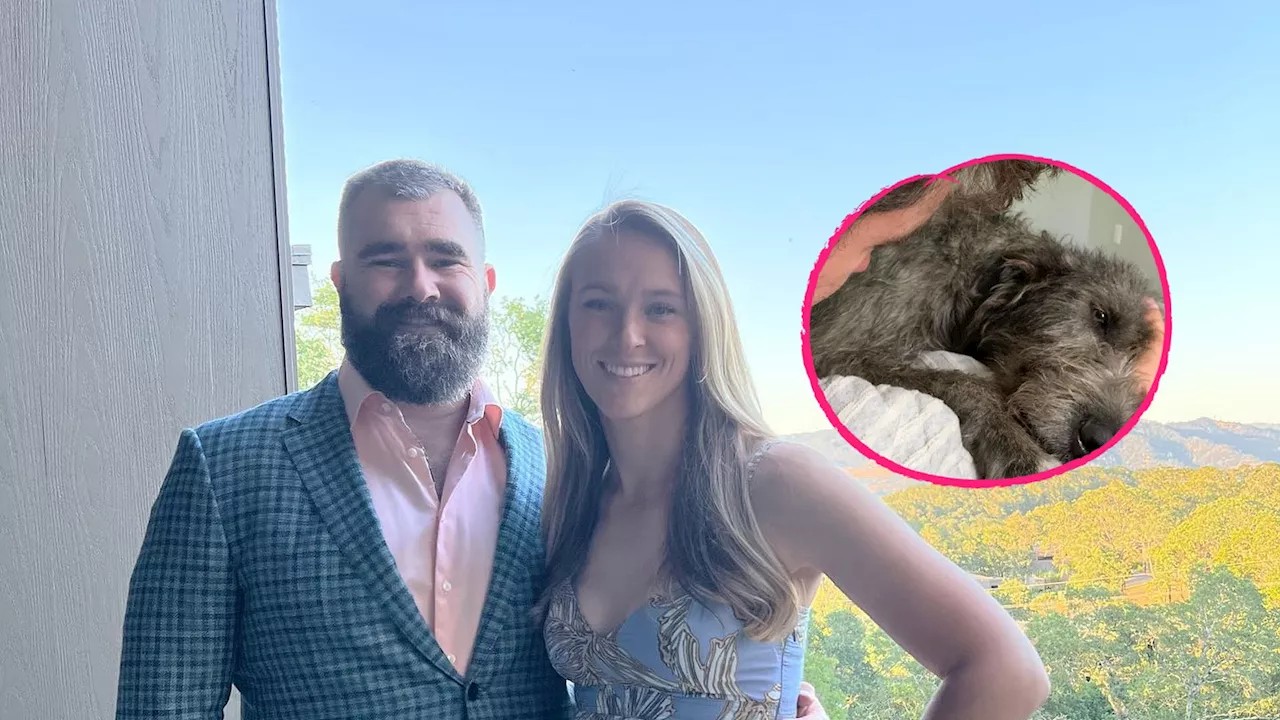 Jason und Kylie Kelce in Trauer: Ihr Hund ist verstorben!