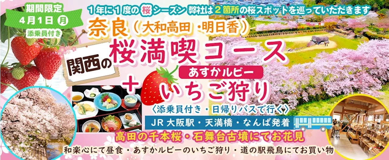 ツアー催行確定更に10席増席 4月1日(月) お一人様9,800円！桜のお花見２カ所&いちご狩り【春の訪れを彩る】お得な価格で楽しむ！桜のお花見といちご狩り日帰りバスツアー開催