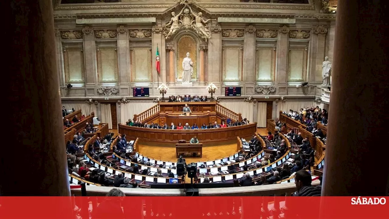 Depois da eleição dos deputados, conheça todos os termos parlamentares