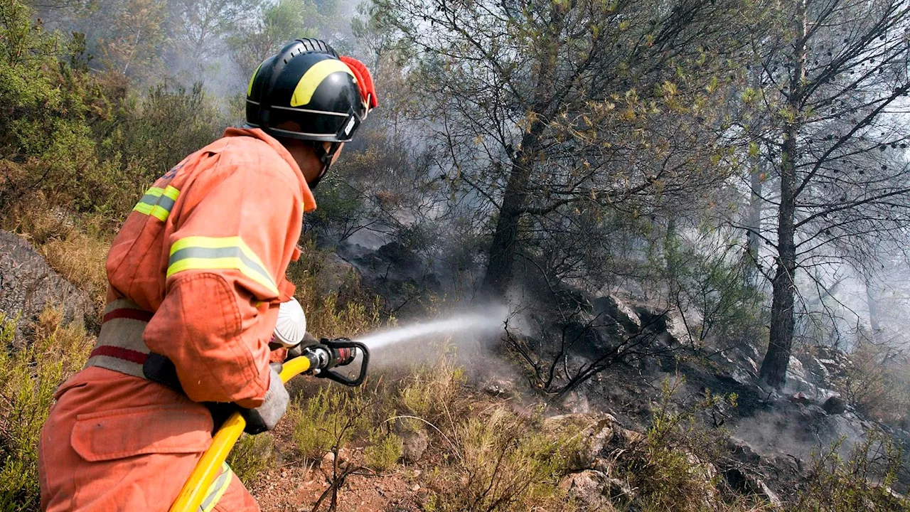 Un incendio forestal obliga a confinar a cerca de 300 habitantes del municipio castellonense de Fanzara