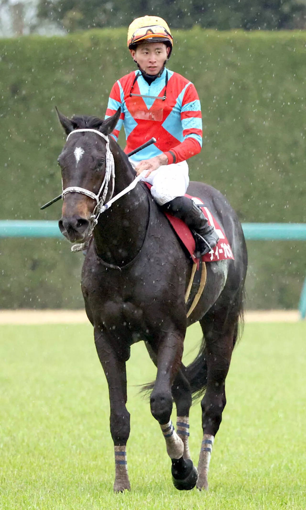 【阪神大賞典】ディープボンドは伸び欠き７着に沈む 岩田望来騎手「自分の競馬はできました」