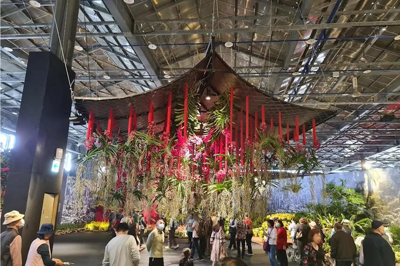 Orchids and advanced chips: How Taiwan’s soft power is evolving