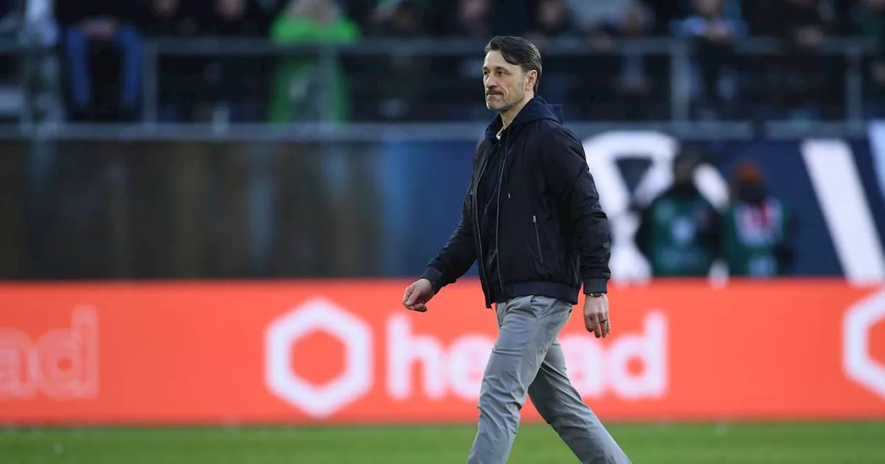 Wolfsburg im Abstiegskampf: Hasenhüttl ersetzt Kovac