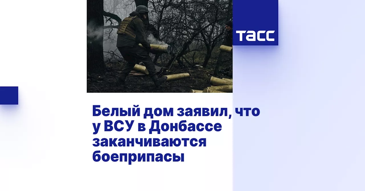 Белый дом заявил, что у ВСУ в Донбассе заканчиваются боеприпасы